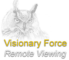 Logo der Visionary Force. (Martinzoller.com)